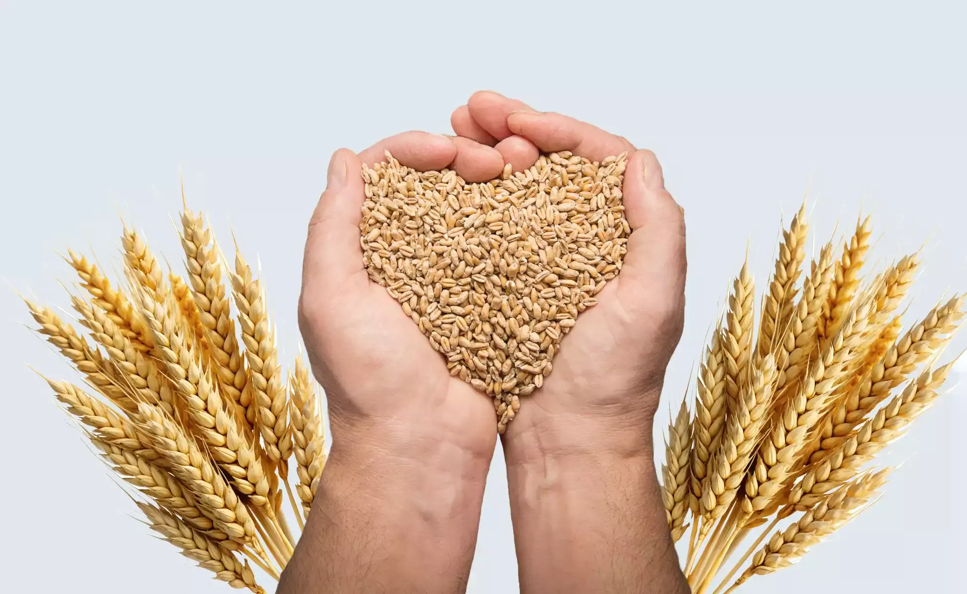 Hiina alustas taas USA põllumajandussaaduste ostmist